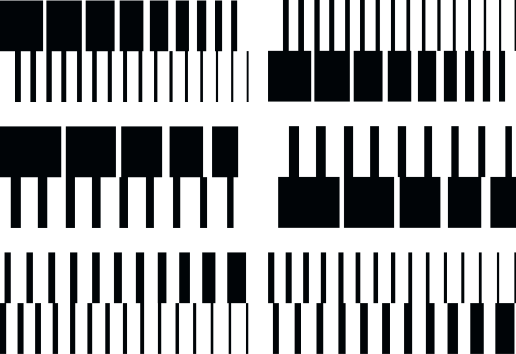 Image (1)